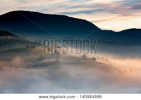 Beautiful Alpine Meadow With Green Grass. Landscape On Wild Transylvania Hills. Holbav. Romania. Low