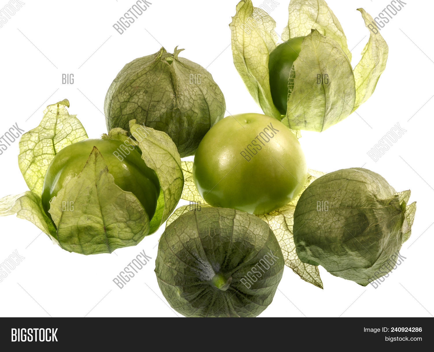 Tomatillo Mexican Husk Image & Photo (Free Trial) Bigstock