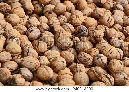 A Lot Of Walnuts (juglans Regia) Or German Name Is Walnüsse In The Market.