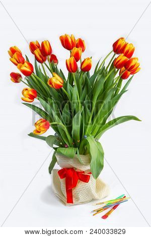 Bouquet Of Red Fresh Spring Tulip Flowers Over White Background