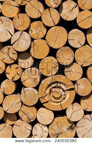 Pile Of Worked Wooden Roundish Clear Beautiful Logs, Stacked Firewood