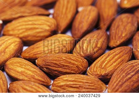 Almond Pile Closeup. Almond Photo Background. Organic Food Simple Banner Template. Tasty Healthy Sna