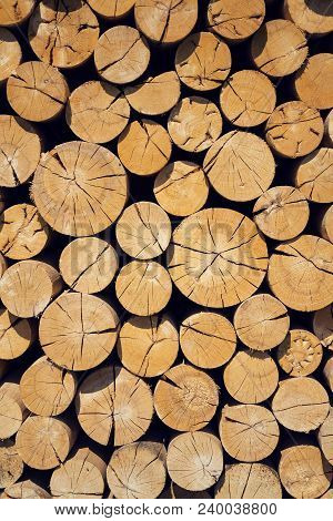 Pile Of Worked Wooden Roundish Clear Beautiful Logs, Stacked Firewood