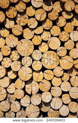 Pile Of Worked Wooden Roundish Clear Beautiful Logs, Stacked Firewood