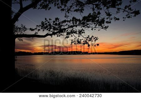 Beautiful Sunset Over Calm Lake. Colorful And Vibrant Landscape Of Lake Shore With Reeds And Trees.