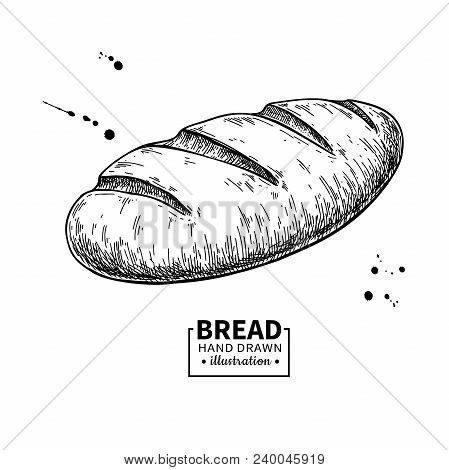 Bread Vector Drawing. Bakery Product Sketch. Vintage Food Illustration For Shop, Bread House Label, 