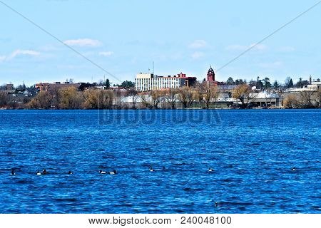 Bemidji, Minnesota Across Lake Irving On Sunny Day With Ducks In The Foreground