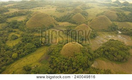 Amazingly Shaped Chocolate Hills On Sunny Day On Bohol Island, Philippines. Aerial View Chocolate Hi