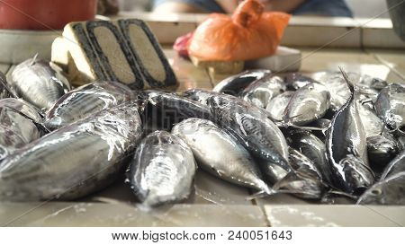 Fresh Fish In Asian Market. Sale Of Fresh Sea Fish In The Asian Public Store. Sea Fish Lying On The 