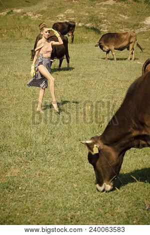 Cow, Woman In Countryside Pasture, Ecology. Dairy, Milk Production, Industry. Village, Farming, Fiel