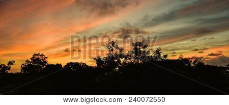 Sunset Over A Green Forest And Trees