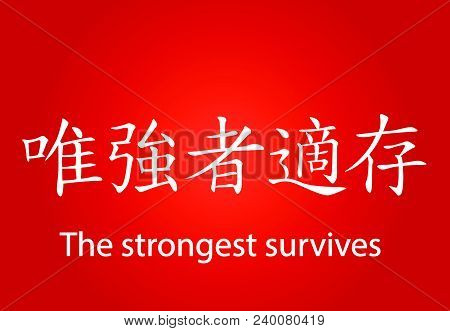 Chinese Calligraphy Writing With Meaning - The Strongest Survives