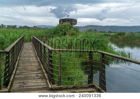 View Of An Elevated Footpath And An Observation Tower In The Hula Nature Reserve, Northern Israel