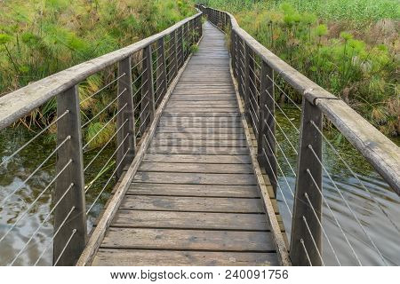 View Of An Elevated Footpath Over The Wetland In The Hula Nature Reserve, Northern Israel