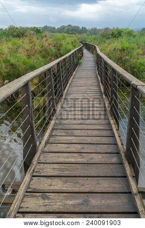 View Of An Elevated Footpath Over The Wetland In The Hula Nature Reserve, Northern Israel