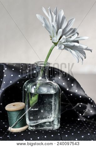 Still Life With Pink Daisy Flower In The Small Vintage Glass Botlle, Needle And Spool Of Thread. Cho