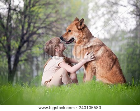 A Small Child And A Huge Dog. The Concept Of True Friendship, Trust, Safety Of Pets For Children
