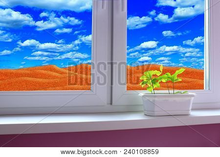 Young Plants Growing In Pot On Window-sill. Sandy Desert Behind Window Of Room. Save The Planet. You