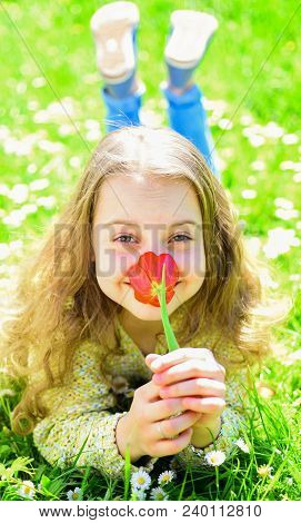 Girl Lying On Grass, Grassplot On Background. Child Enjoy Spring Sunny Day While Lying At Meadow Wit
