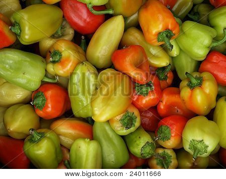 Tuore punainen ja vihreä paprika