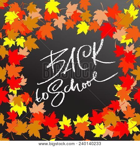 Back To School. Chalk Lettering On Blackboard Surface. Typography Poster With Autumn Leaves. Vector 