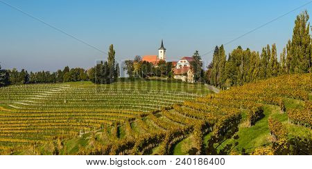 Summer Landscape With Vineards And Small Village Jeruzalem In Slovenia.
