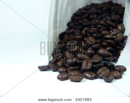 Semi di caffè