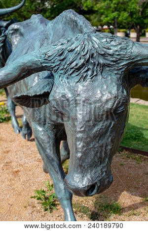 Dallas, Texas - May 7, 2018: View Of Cowboy And Longhorn Cows With Cattle In The Background, As Part