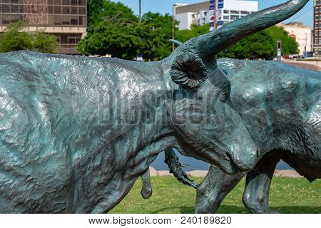 Dallas, Texas - May 7, 2018: View Of Cowboy And Longhorn Cows With Cattle In The Background, As Part