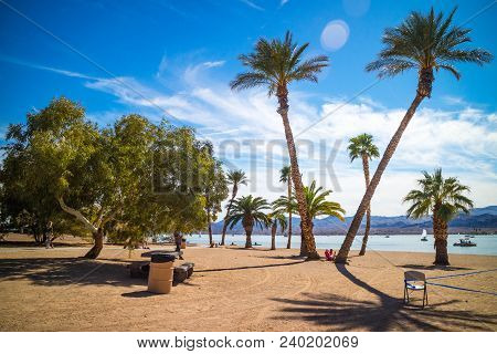 Palm Trees On Lake Havasu Beach On A Summer Day