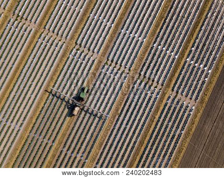 Straight down view of tractor spraying chemical fertilizer or pesticide on a tomato field.