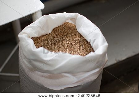 Bag Of Grain.bag Filled With Sprouted Grain For Bread Baking