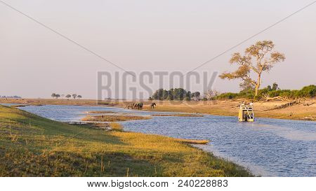 Boat Cruise And Wildlife Safari On Chobe River, Namibia Botswana Border, Africa. Chobe National Park