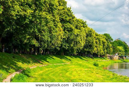 Part Of A Longest Linden Alley In Europe. Uzh River Embankment Of Ukrainian Town Uzhgorod In Summer