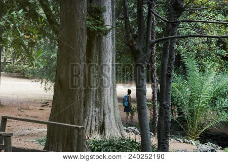 Girl Walking In The Park In Arenzzano, Genoa, Italy.