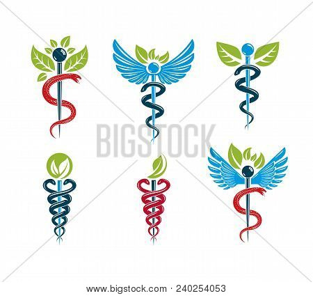 Aesculapius Vector Abstract Illustrations Collection, Caduceus Symbols Composed With Green Leaves An