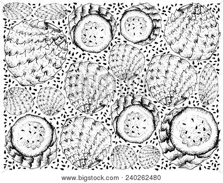 Tropical Fruits, Illustration Wall-paper Of Hand Drawn Sketch Ripe And Sweet Copao Cactus Or Eulychn