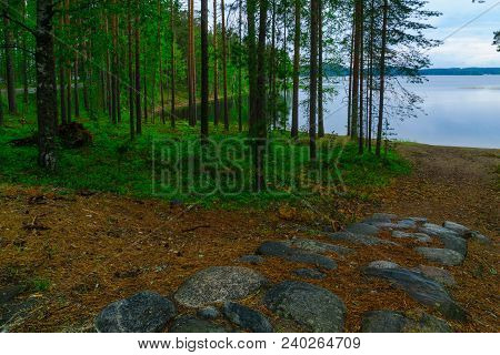 Landscape Of Lakes And Forest Along The Punkaharju Ridge. Shouthern Savonia, Lakeland Region, Finlan