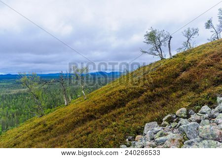 Landscape From The Summit Of Ukko-luosto Fell, In Pyha-luosto National Park, Lapland, Finland