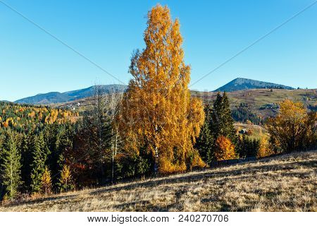 Morning Carpathian Mountains And Village Hamlets On Slopes (yablunytsia Village And Pass, Ivano-fran