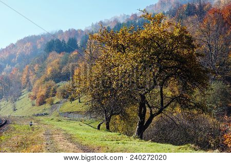 Autumn Carpathian Mountains Landscape With Multicolored Trees On Slope (rakhiv District, Transcarpat