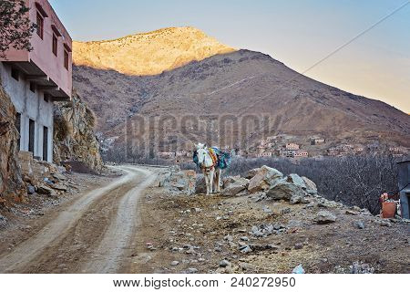 Imlil City In The Atlas Mountains Of Morocco