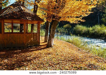 Open Air Gazebo In Autumn Carpathian Mountain Yellow Beech Tree Sunny Park On White Tysa River Shore