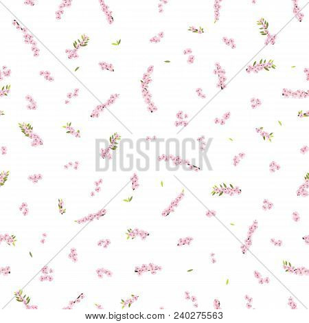 A Plum Tree Branch In Bloom. Spring Motif. Seamless Pattern. Spring Bloom. Isolated On White. Garden