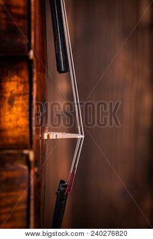 Side View Of An Old Violin Bridge And Strings