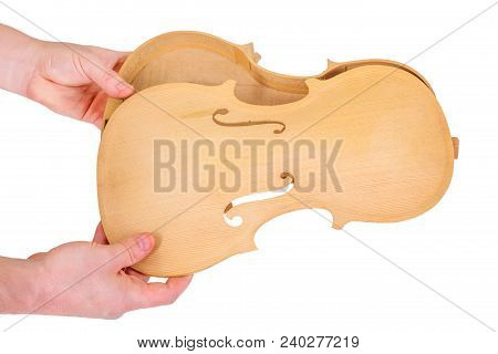 Luthier Showing Assemble Moment Of The Violin Back And Belly