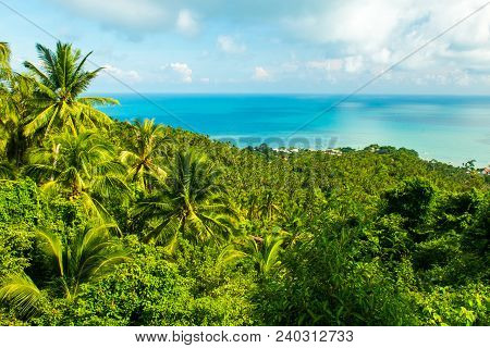 Exotic Tropical Viewpoint From The Koh Samui Island In The Thailand With Palms And Trees And View On