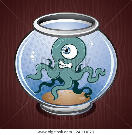 Кальмар в миску