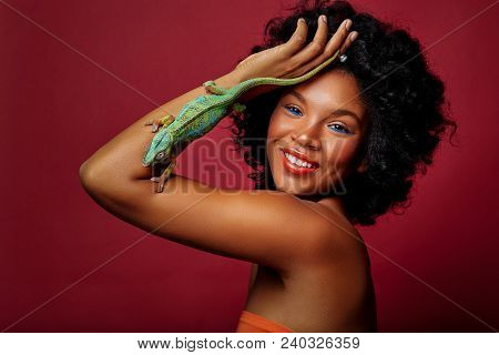 Beautiful Young Woman With Bright Makeup Holding Chameleon Lizard. Studio Beauty Sgot On Red Backgro
