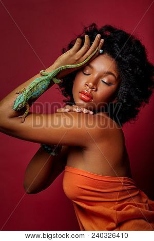 Beautiful Young Woman With Bright Makeup Holding Chameleon Lizard. Studio Beauty Sgot On Red Backgro
